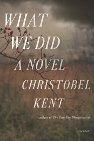 Kniha What We Did Christobel Kent