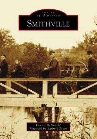 Book Smithville Dennis McDonald