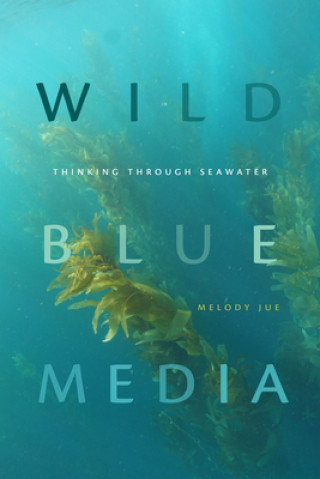 Kniha Wild Blue Media Melody Jue