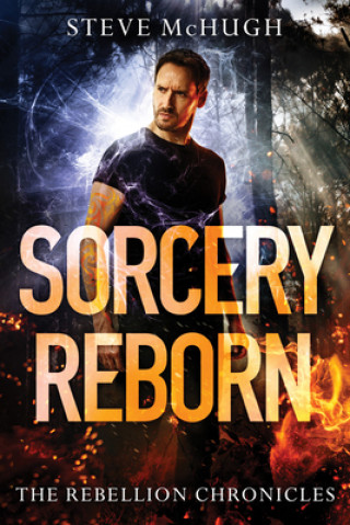 Boek Sorcery Reborn Steve McHugh