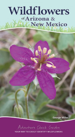 Книга Wildflowers of Arizona & New Mexico George Miller