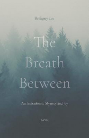 Kniha The Breath Between: An Invitation to Mystery and Joy Bethany Lee