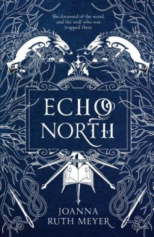 Kniha Echo North Joanna Ruth Meyer