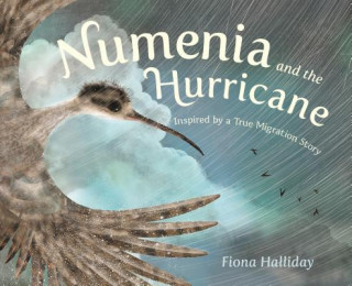 Könyv Numenia and the Hurricane: Inspired by a True Migration Story Fiona Halliday