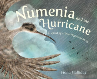 Kniha Numenia and the Hurricane: Inspired by a True Migration Story Fiona Halliday