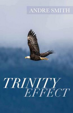 Knjiga Trinity Effect Andre Smith