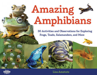 Carte Amazing Amphibians Lisa J. Amstutz