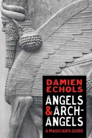 Könyv Angels and Archangels Damien Echols