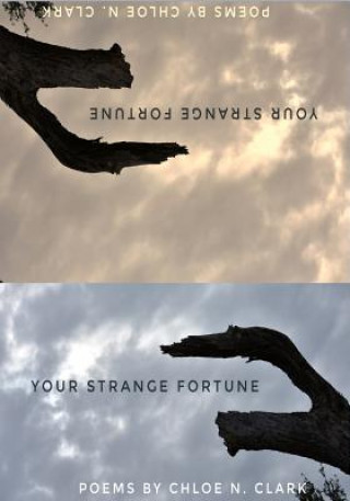 Kniha Your  Strange Fortune Chloe N. Clark