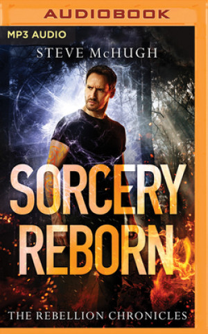 Digital Sorcery Reborn Steve McHugh