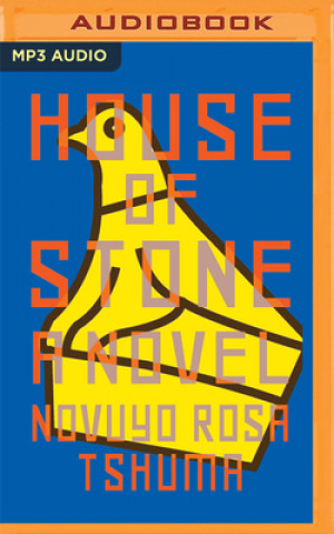 Digital House of Stone Novuyo Rosa Tshuma