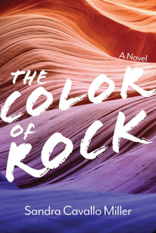 Buch Color of Rock Sandra Cavallo Miller