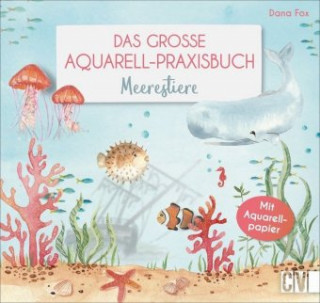 Kniha Das große Aquarell-Praxisbuch Dana Fox