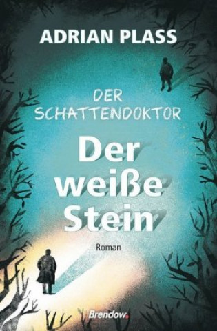 Kniha Der Schattendoktor (2): Der weiße Stein Adrian Plass