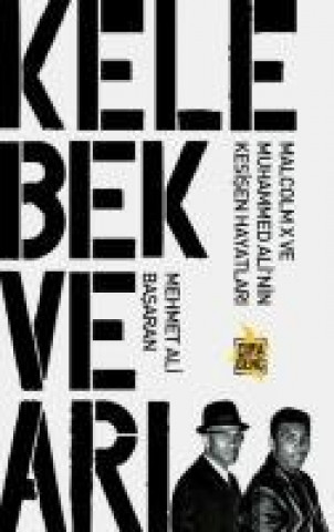 Könyv Kelebek ve Ari Mehmet Ali Basaran