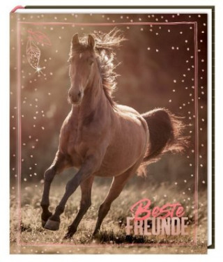 Könyv Freundebuch - I LOVE HORSES - Beste Freunde Christiane Slawik
