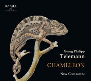 Zvok Chameleon New Collegium