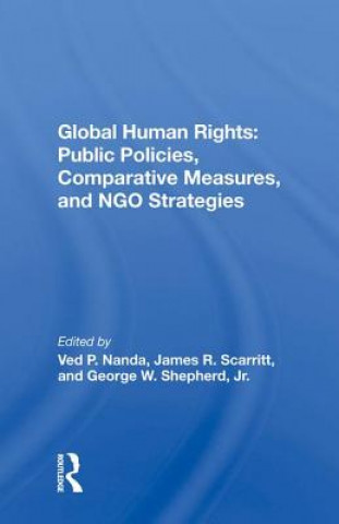 Kniha Global Human Rights: Public Policies, Comparative Measures, and NGO Strategies NANDA