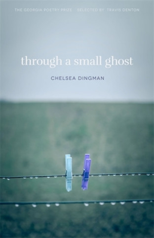 Carte Through a Small Ghost Chelsea Dingman