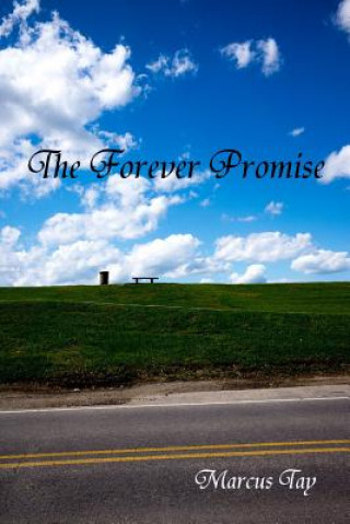 Kniha Forever Promise MARCUS TAY