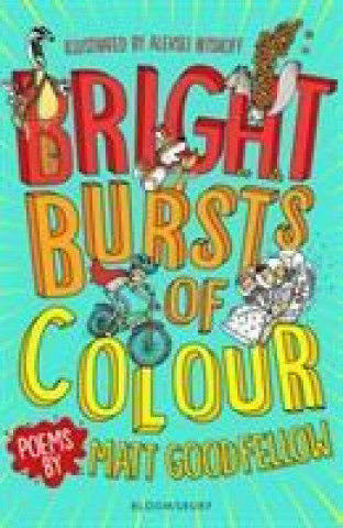 Kniha Bright Bursts of Colour Matt Goodfellow