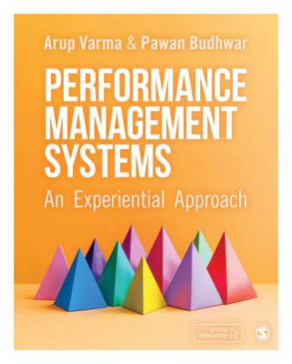 Kniha Performance Management Systems Arup Varma