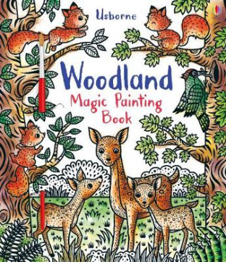 Knjiga Woodland Magic Painting Book Federica Iossa