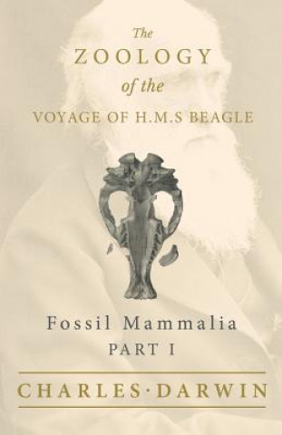 Kniha Fossil Mammalia - Part I - The Zoology of the Voyage of H.M.S Beagle Charles Darwin