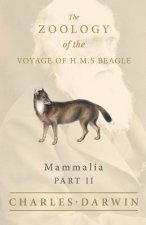 Carte Mammalia - Part II - The Zoology of the Voyage of H.M.S Beagle Charles Darwin