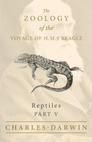 Carte Reptiles - Part V - The Zoology of the Voyage of H.M.S Beagle Charles Darwin