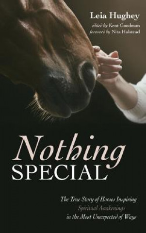 Knjiga Nothing Special LEIA HUGHEY