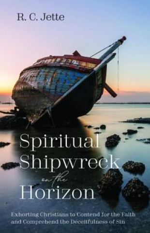 Kniha Spiritual Shipwreck on the Horizon R. C. Jette