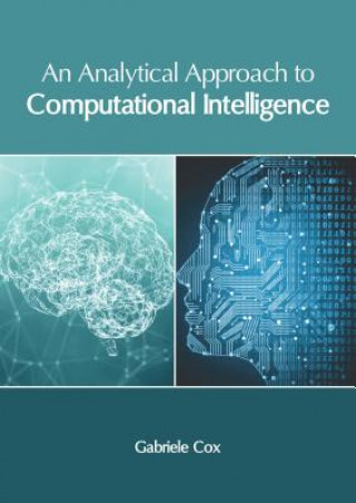 Buch Analytical Approach to Computational Intelligence Gabriele Cox