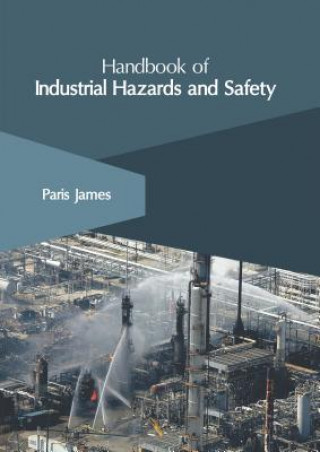 Kniha Handbook of Industrial Hazards and Safety Paris James
