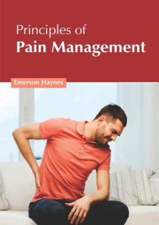 Kniha Principles of Pain Management Emerson Haynes