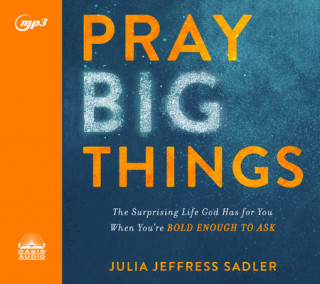 Digital Pray Big Things: The Surprising Life God Has for You When You're Bold Enough to Ask Julia Jeffress Sadler