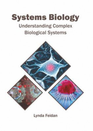 Kniha Systems Biology: Understanding Complex Biological Systems Lynda Feidan