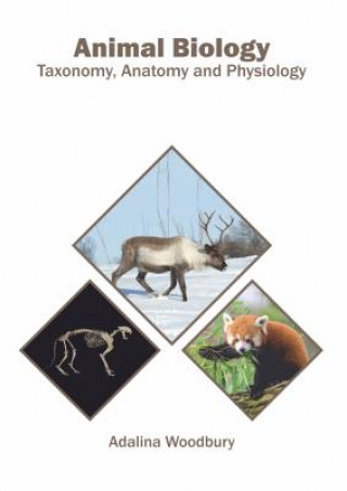 Kniha Animal Biology: Taxonomy, Anatomy and Physiology Adalina Woodbury