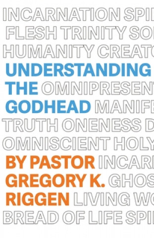 Knjiga Understanding the Godhead Gregory K Riggen