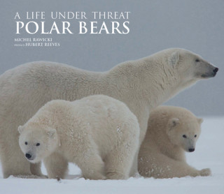Kniha Polar Bears Michel Rawicki