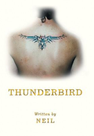 Carte Thunderbird NEIL
