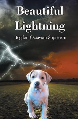 Carte Beautiful Lightning Bogdan Octavian Sopterean
