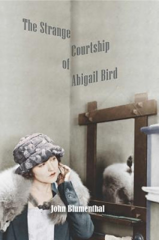 Könyv Strange Courtship of Abigail Bird John Blumenthal