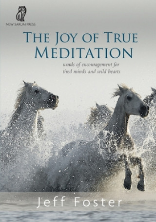 Kniha joy of True Meditation JEFF FOSTER