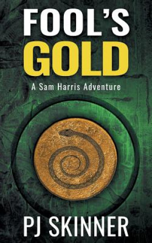 Boek Fool's Gold PJ SKINNER