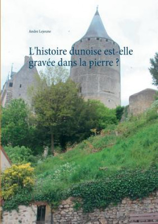 Kniha L'histoire dunoise est-elle gravee dans la pierre ? Andre Lejeune