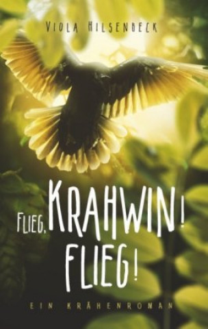 Könyv Flieg, Krahwin! Flieg! Viola Hilsenbeck