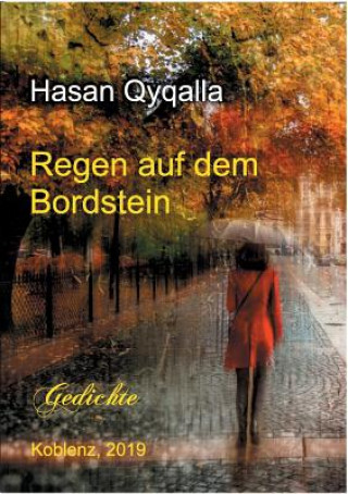 Könyv Regen auf dem Bordstein Hasan Qyqalla