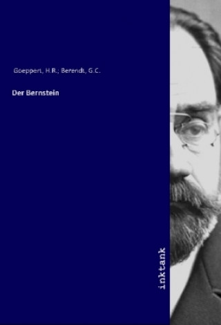 Kniha Der Bernstein H. R. Berendt Goeppert