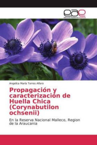 Kniha Propagación y caracterización de Huella Chica (Corynabutilon ochsenii) Angelíca María Torres Alfaro